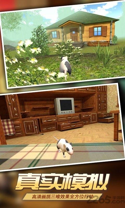 真实老鼠模拟无限金币版下载,真实老鼠模拟,动物模拟游戏,闯关游戏