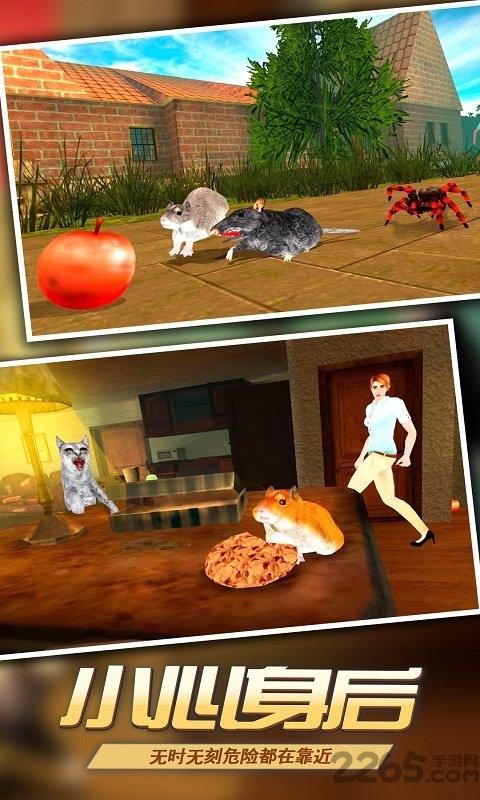 真实老鼠模拟无限金币版下载,真实老鼠模拟,动物模拟游戏,闯关游戏