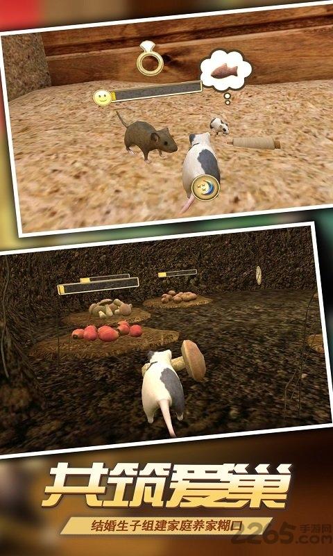 真实老鼠模拟无限金币版下载,真实老鼠模拟,动物模拟游戏,闯关游戏